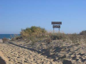 Beach Bar Sign