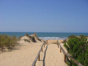 approaching the local beach