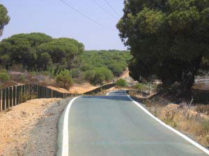 bike track near the beach