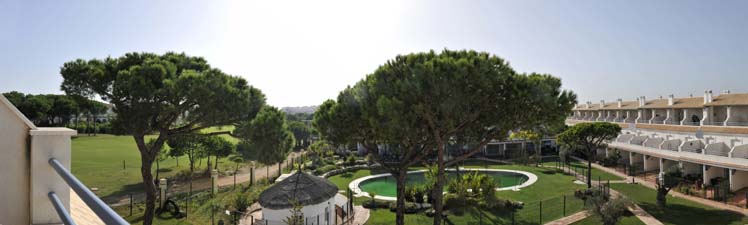 view from the house across the pool